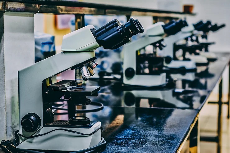 microscopes in a clinical research lab