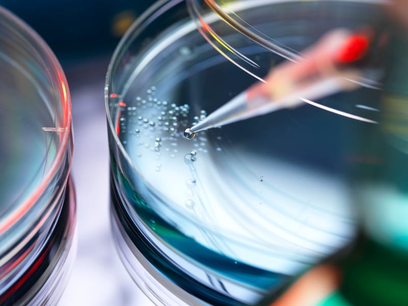 Featured image for How Biotech Clinical Trials Drive Innovation Through Research