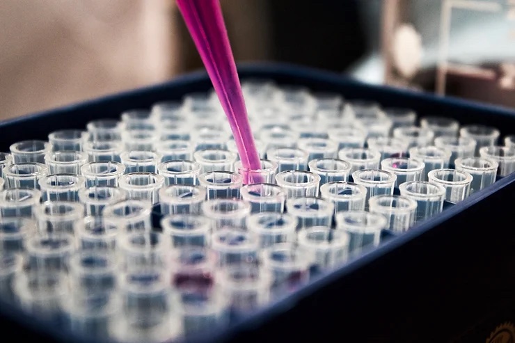 in vitro testing in a lab