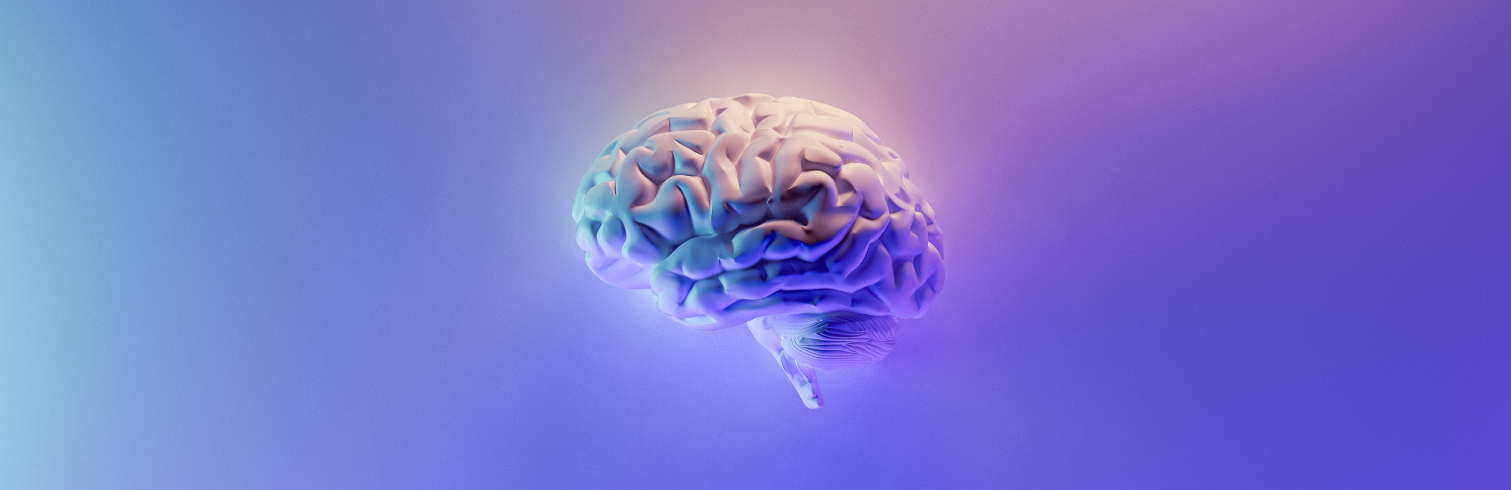 visual representation of a brain in a cns study